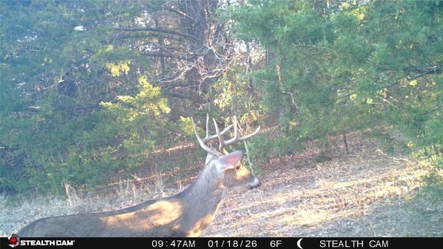 1203 County Road 4132, Cumby, TX 75433