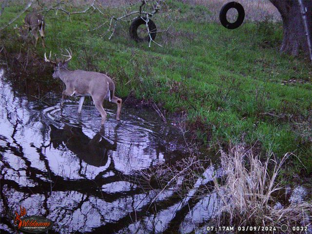 1203 County Road 4132, Cumby, TX 75433