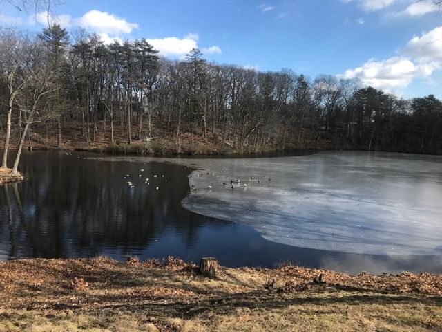 707 South Street, Waltham, MA 02453