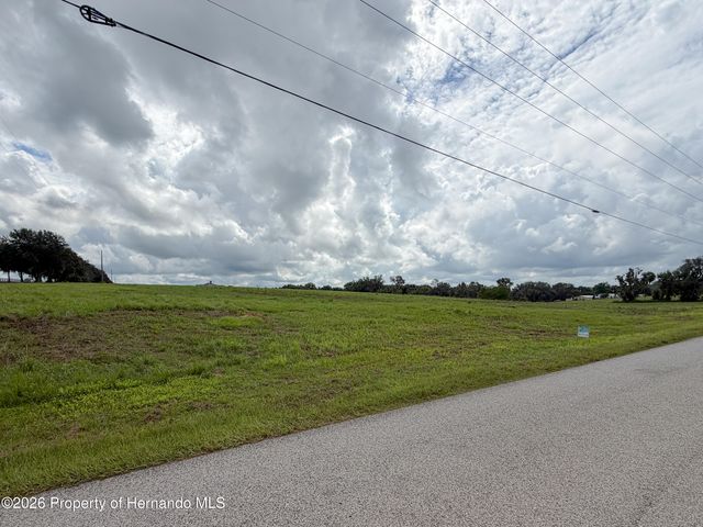 28695 Bahia Hill Drive, Brooksville, FL 34602