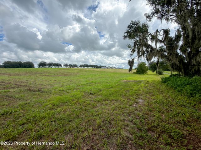 28695 Bahia Hill Drive, Brooksville, FL 34602