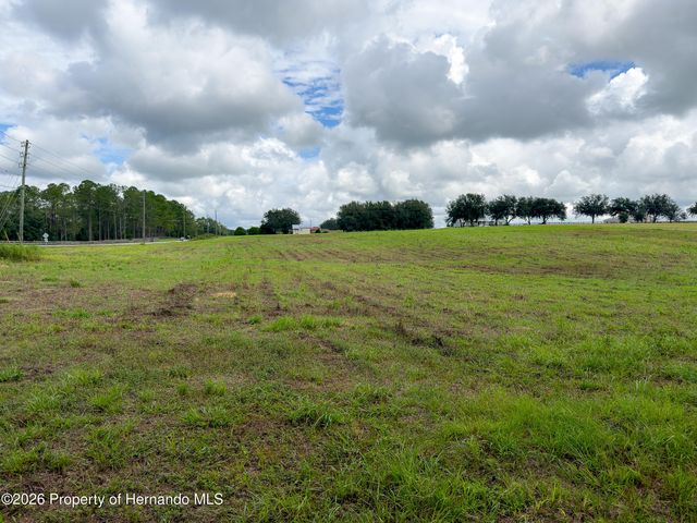28695 Bahia Hill Drive, Brooksville, FL 34602