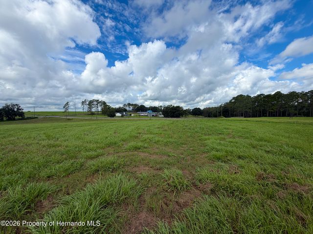 28695 Bahia Hill Drive, Brooksville, FL 34602
