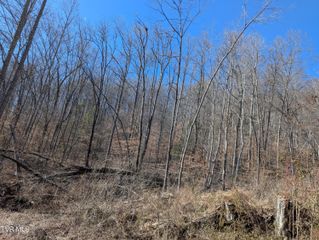 Tbd Mabe Stanleytown Road, Duffield, VA 24244