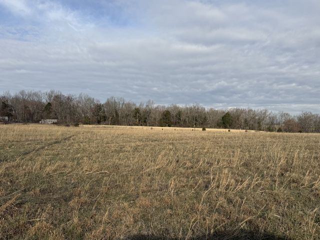 771 Mount Vernon Rd, Bethpage, TN 37022