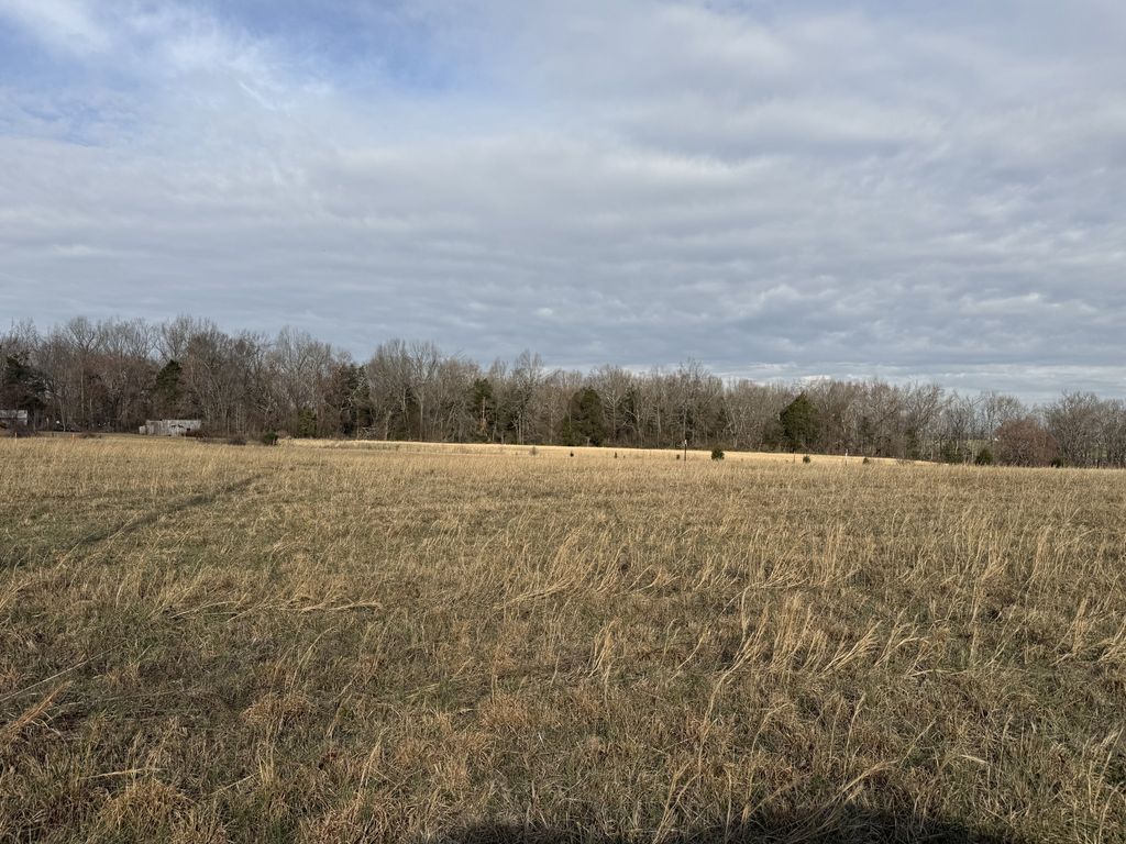 771 Mount Vernon Rd, Bethpage, TN 37022