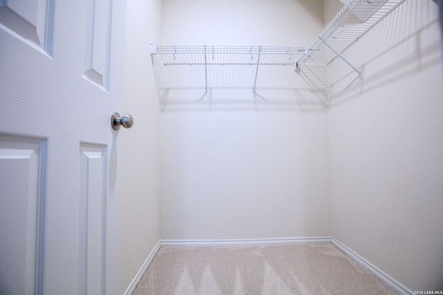 519 Wild Olive, San Antonio, TX 78219