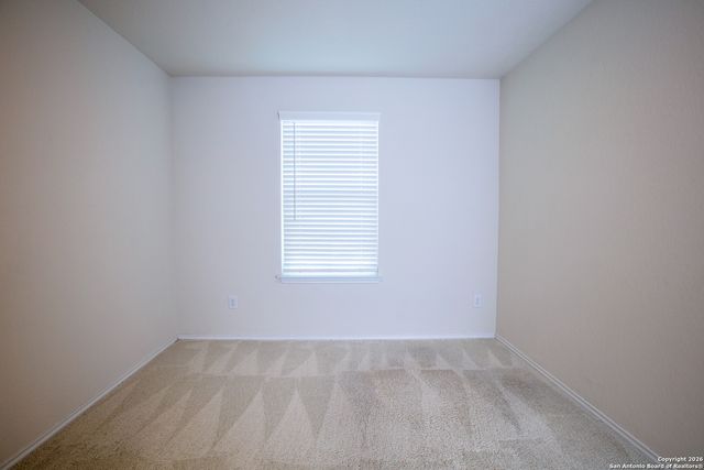 519 Wild Olive, San Antonio, TX 78219