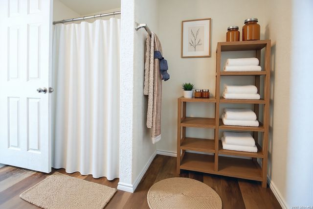 519 Wild Olive, San Antonio, TX 78219