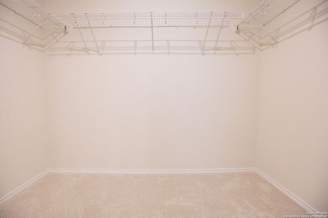 519 Wild Olive, San Antonio, TX 78219