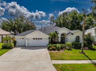 4612 RIVER OVERLOOK DRIVE, Valrico, FL 33596