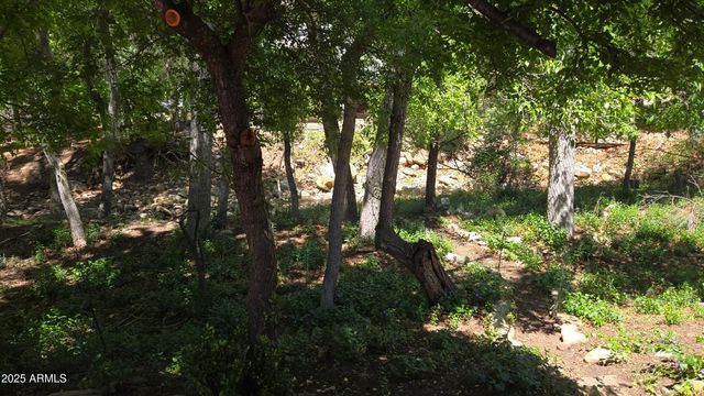 4818 N SYCAMORE Drive, Pine, AZ 85544