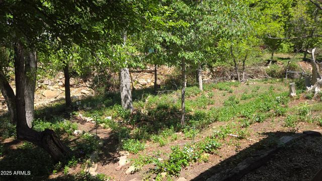 4818 N SYCAMORE Drive, Pine, AZ 85544