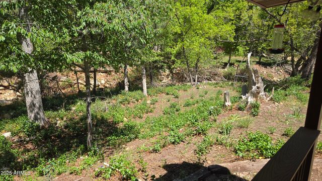 4818 N SYCAMORE Drive, Pine, AZ 85544