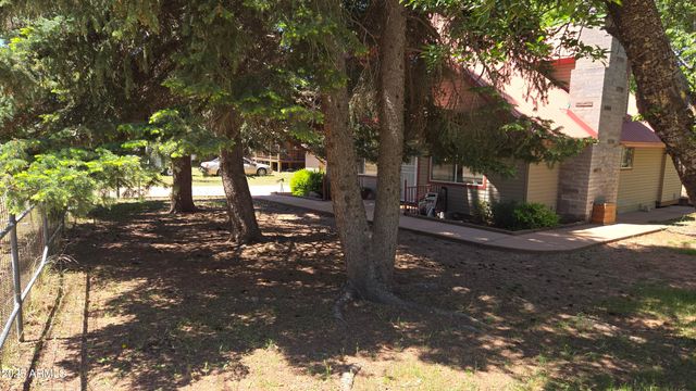 4818 N SYCAMORE Drive, Pine, AZ 85544