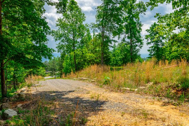 0 River Bluffs Drive 143, Jasper, TN 37347