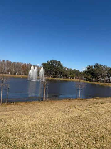 11381 NONA SOUND STREET, Orlando, FL 32832