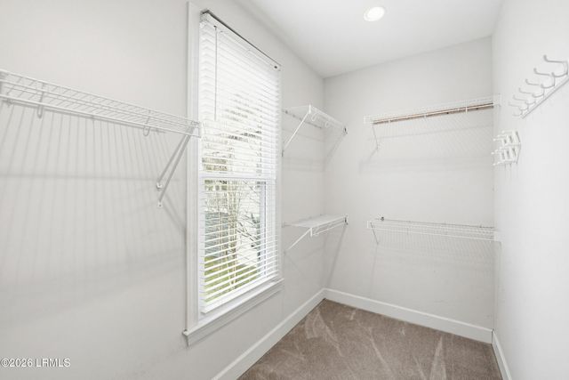 25 Petigru Drive, Beaufort, SC 29902