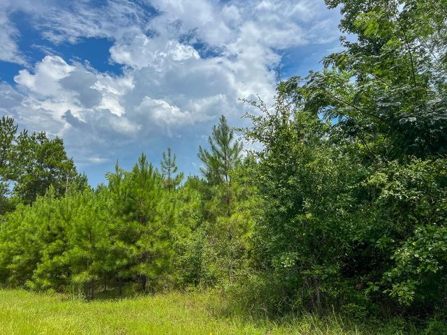 0 Fm 2939, Newton, TX 75966