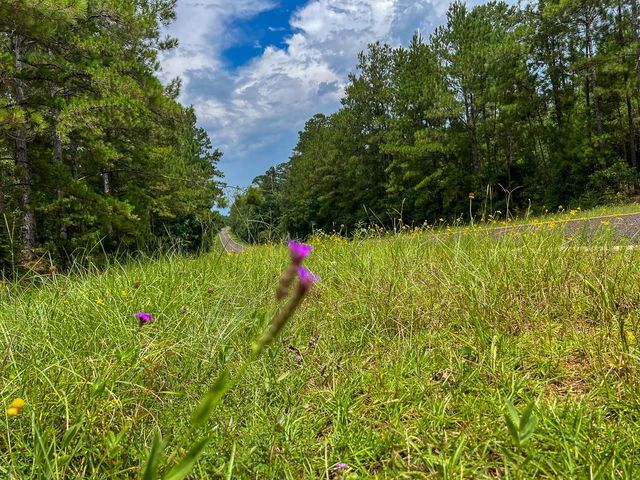 0 Fm 2939, Newton, TX 75966