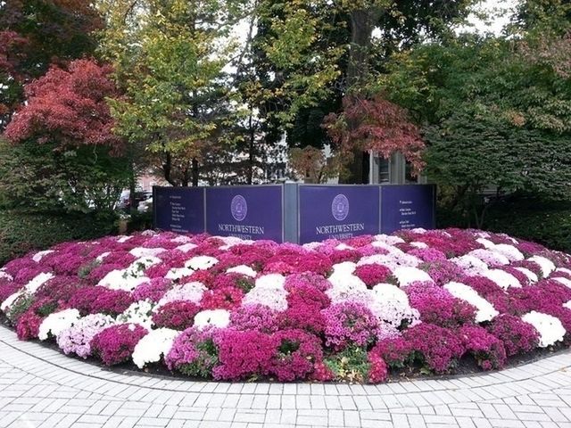 807 DAVIS Street 1308, Evanston, IL 60201