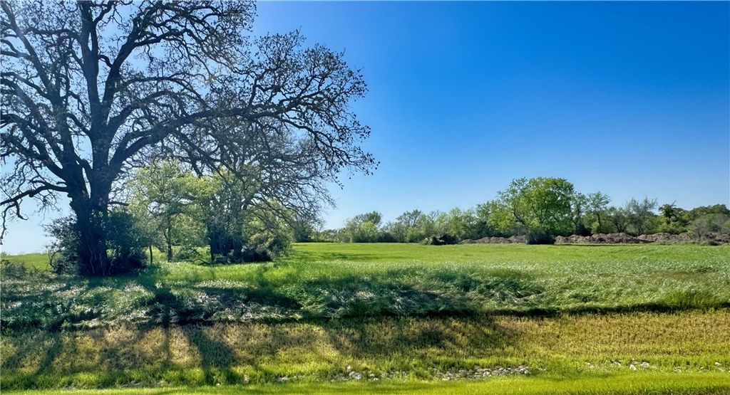 9943 Panther Ridge Drive, Iola, TX 77861 — exterior