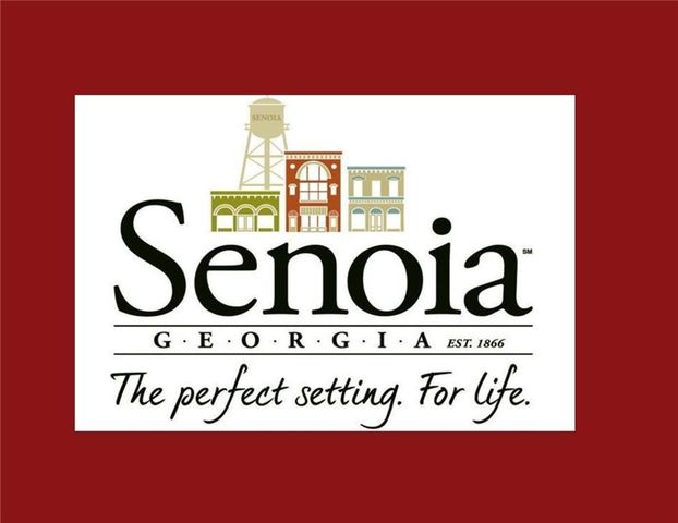 115 Rutland Ct, Senoia, GA 30276