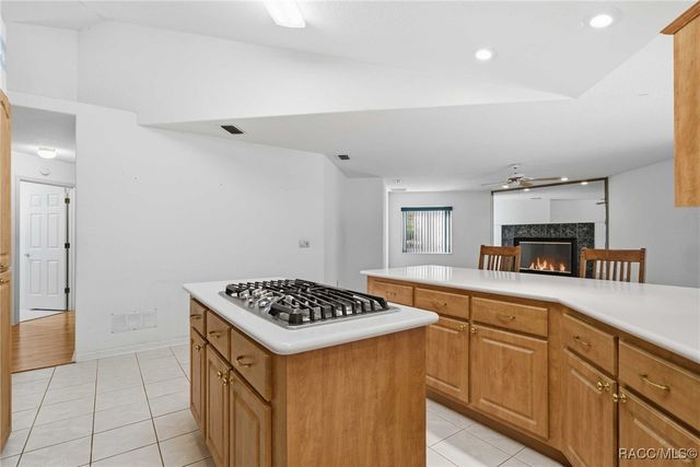 3755 W Douglasfir Circle, Beverly Hills, FL 34465