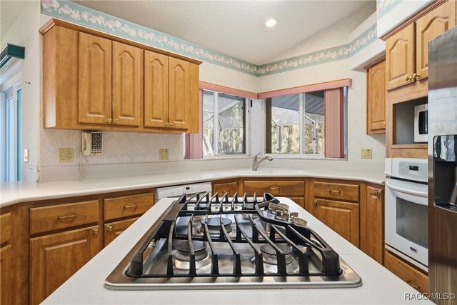 3755 W Douglasfir Circle, Beverly Hills, FL 34465