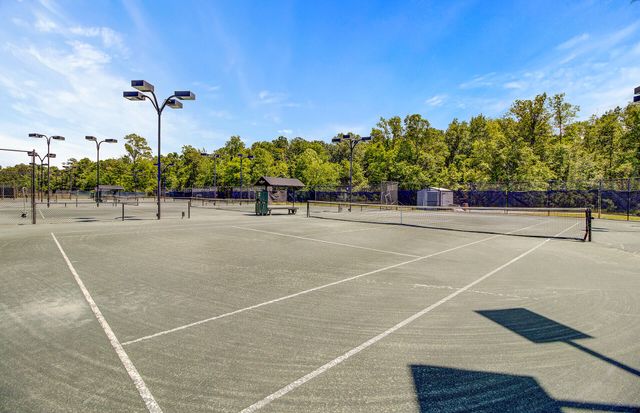 301 Renau Boulevard, Summerville, SC 29483