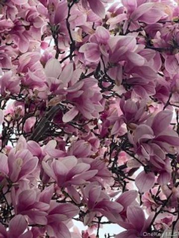 79 Amy Drive, Sayville, NY 11782