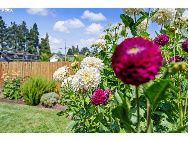 801 PINTAIL St, Silverton, OR 97381