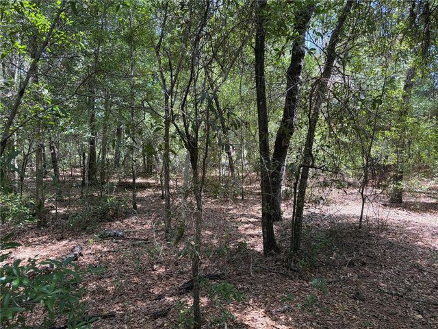 0 PINE TERRACE, Ocala, FL 34472
