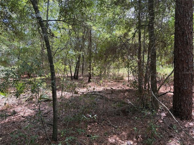 0 PINE TERRACE, Ocala, FL 34472