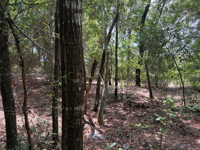 0 PINE TERRACE, Ocala, FL 34472