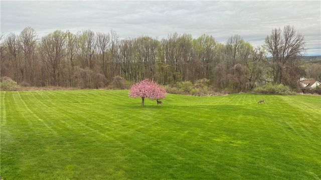 29 Foxboro Lane, Perinton, NY 14450