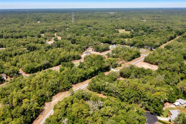 10233 N ATHENIA DRIVE, Citrus Springs, FL 34434