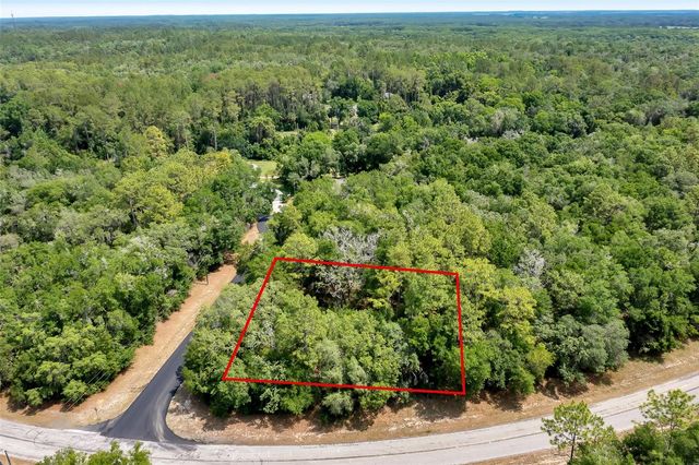 10233 N ATHENIA DRIVE, Citrus Springs, FL 34434