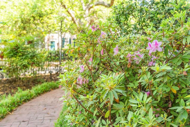 67 Warren Street, Charleston, SC 29403