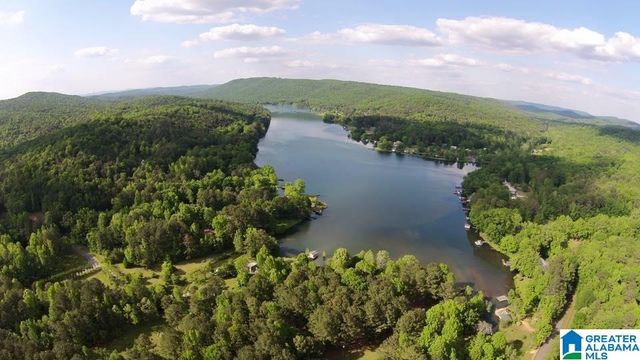 8279 EMERALD LAKE DRIVE W, Pinson, AL 35126
