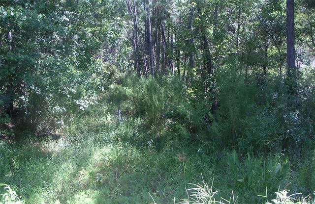 9145 N Evenstock Way, Crystal River, FL 34428