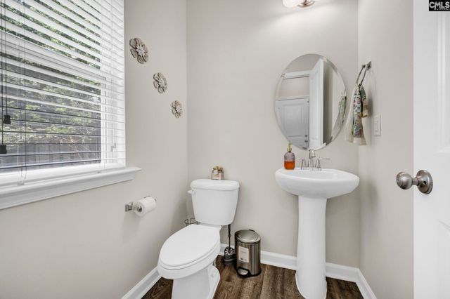 163 Indigo Place Court, West Columbia, SC 29172