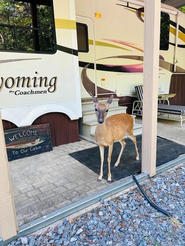 259 37th Street, Ellijay, GA 30540