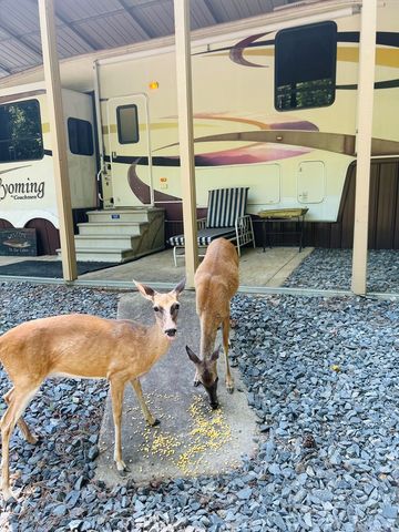 259 37th Street, Ellijay, GA 30540