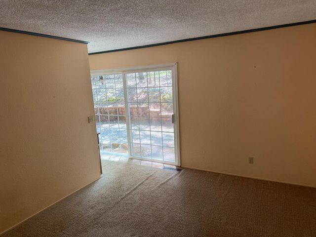 14041 Druid Ln, Pine Grove, CA 95665
