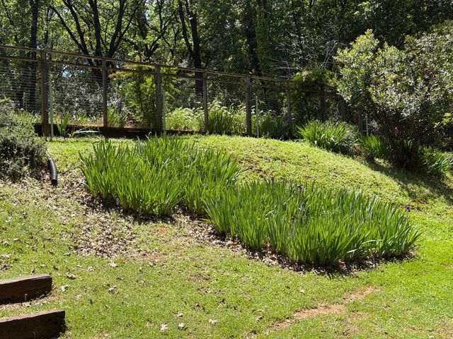 14041 Druid Ln, Pine Grove, CA 95665