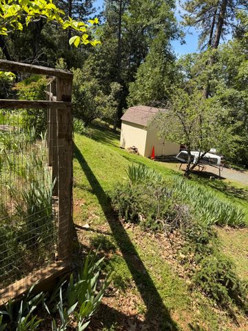 14041 Druid Ln, Pine Grove, CA 95665