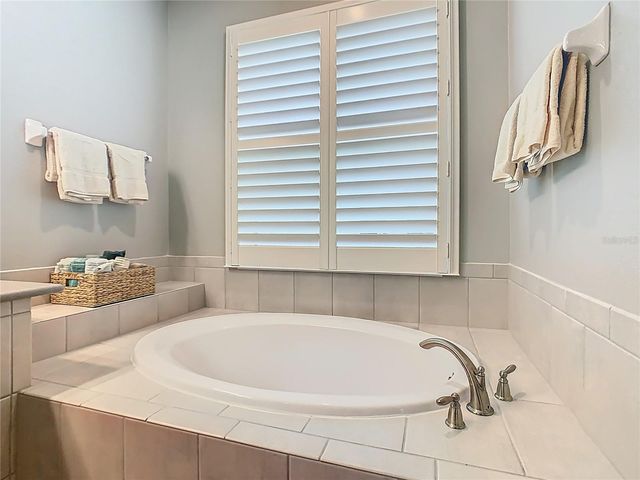 1731 GOBLET COVE STREET, Kissimmee, FL 34746