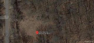 24053 Bohn Road, Belleville, MI 48111