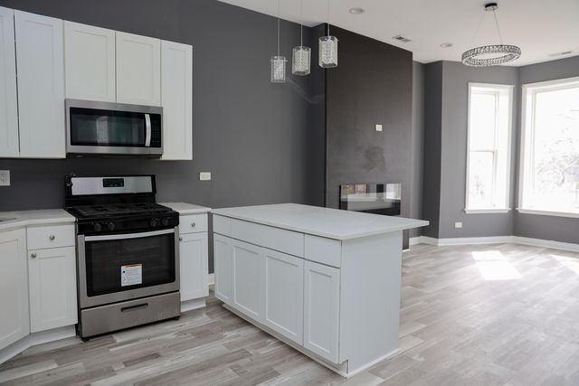 1253 S Millard Avenue, Chicago, IL 60623